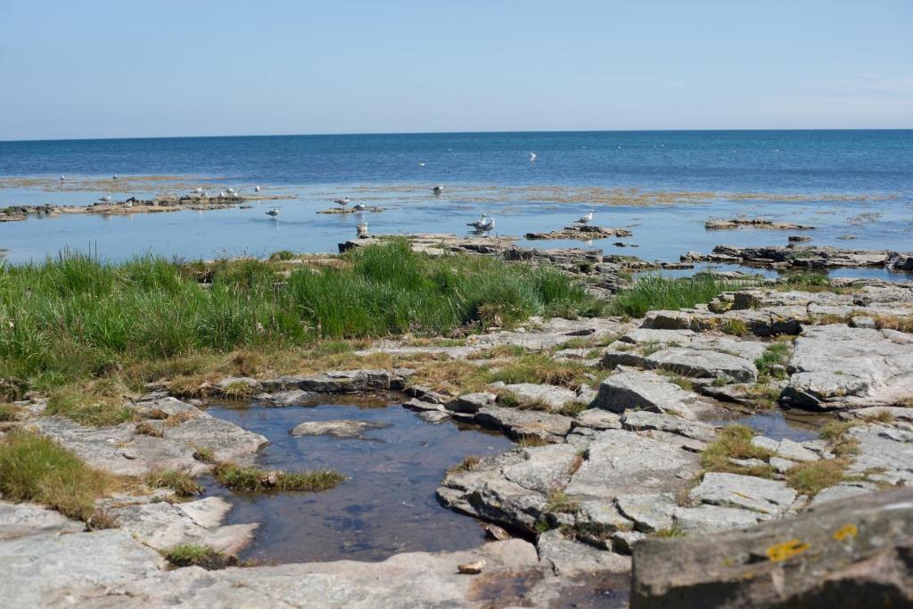 Strandhotel Balka Sobad Neksø Eksteriør bilde
